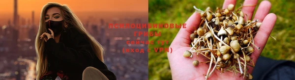 альфа пвп Баксан