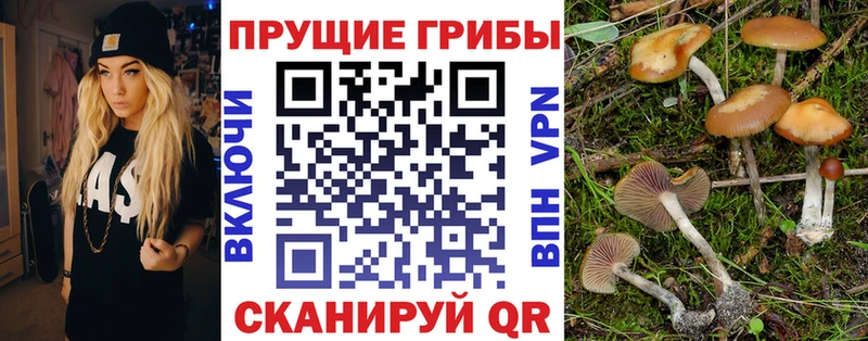 Псилоцибиновые грибы ЛСД  Снежинск 